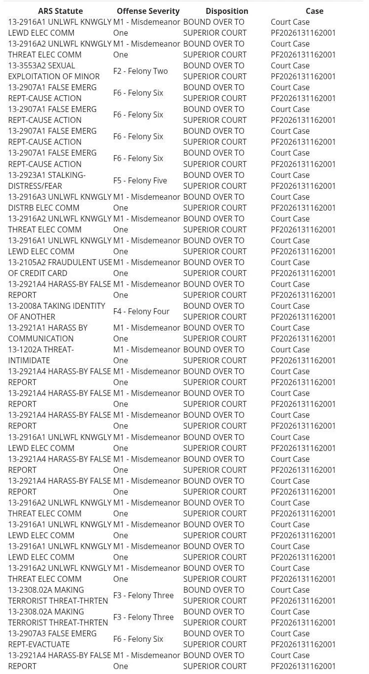 The charge list from Shelbey Fernandez's Maricopa County booking record, showing 30 rows of Arizona statutes, offense severity from misdemeanor to class 2 felony, and court case PF2026131162001.